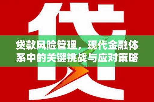 梁园贷款风险管理，现代金融体系中的关键挑战与应对策略