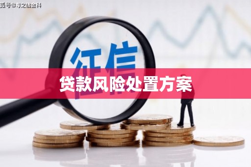 梁园贷款风险处置方案