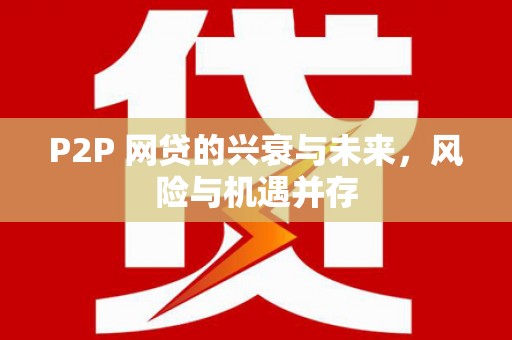 梁园P2P 网贷的兴衰与未来，风险与机遇并存