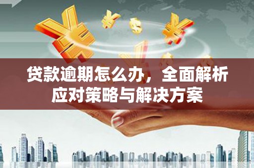 梁园贷款逾期怎么办，全面解析应对策略与解决方案