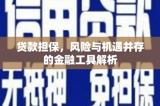 梁园贷款担保，风险与机遇并存的金融工具解析