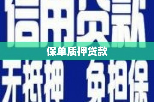 梁园保单质押贷款
