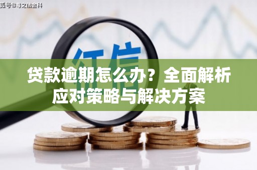 梁园贷款逾期怎么办？全面解析应对策略与解决方案