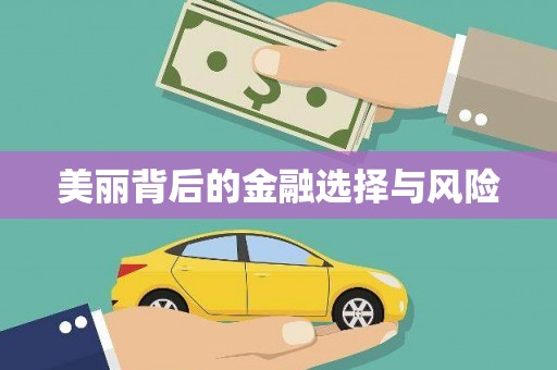 梁园美丽背后的金融选择与风险