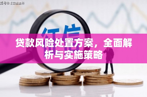 梁园贷款风险处置方案，全面解析与实施策略
