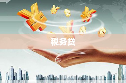 梁园税务贷