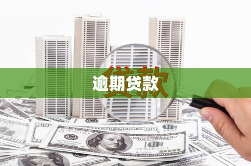 梁园逾期贷款